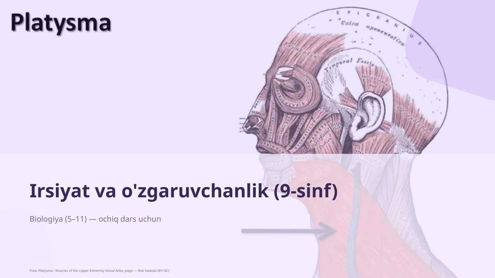 Irsiyat va o'zgaruvchanlik (9-sinf)
