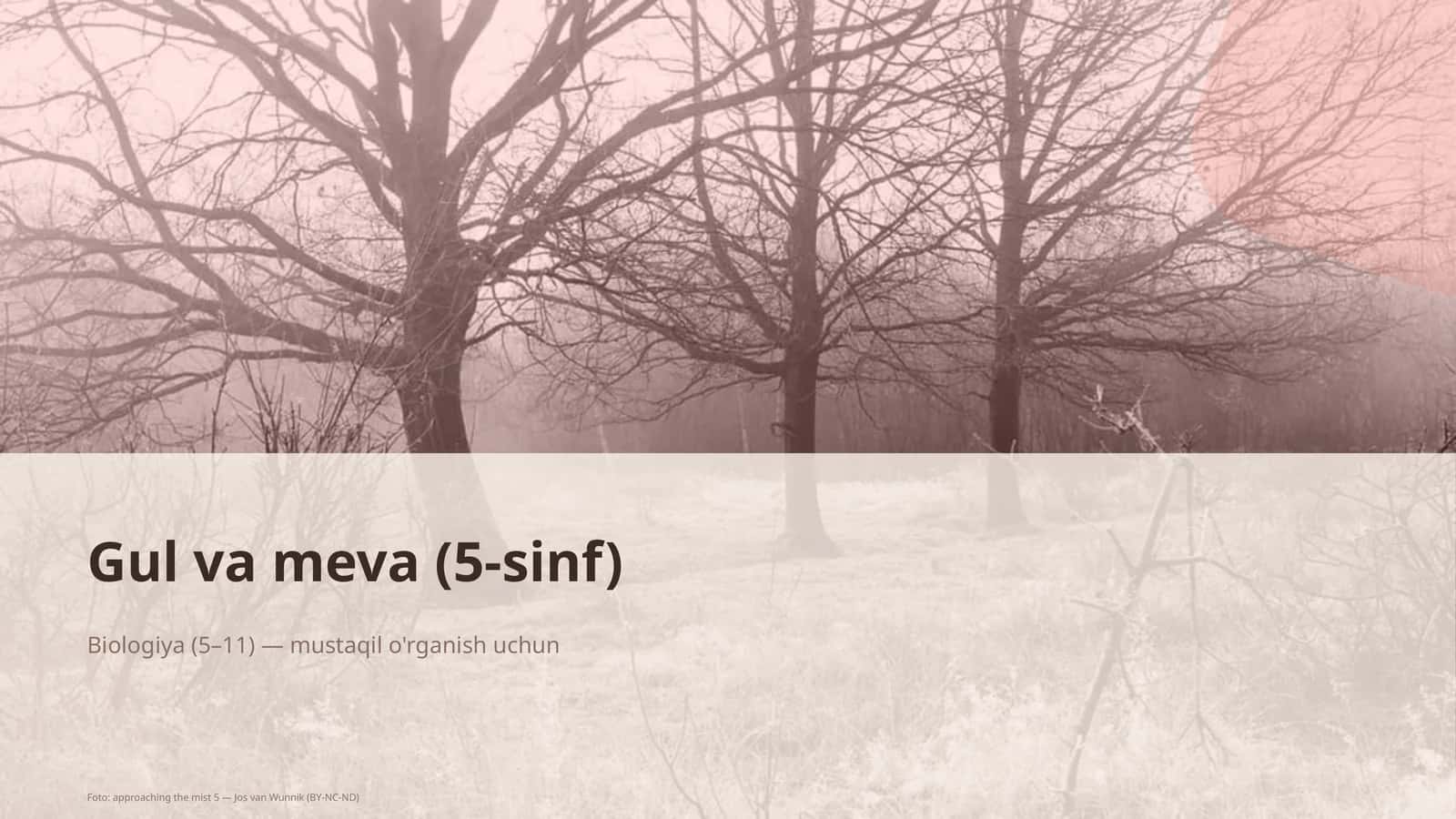 Gul va meva (5-sinf)