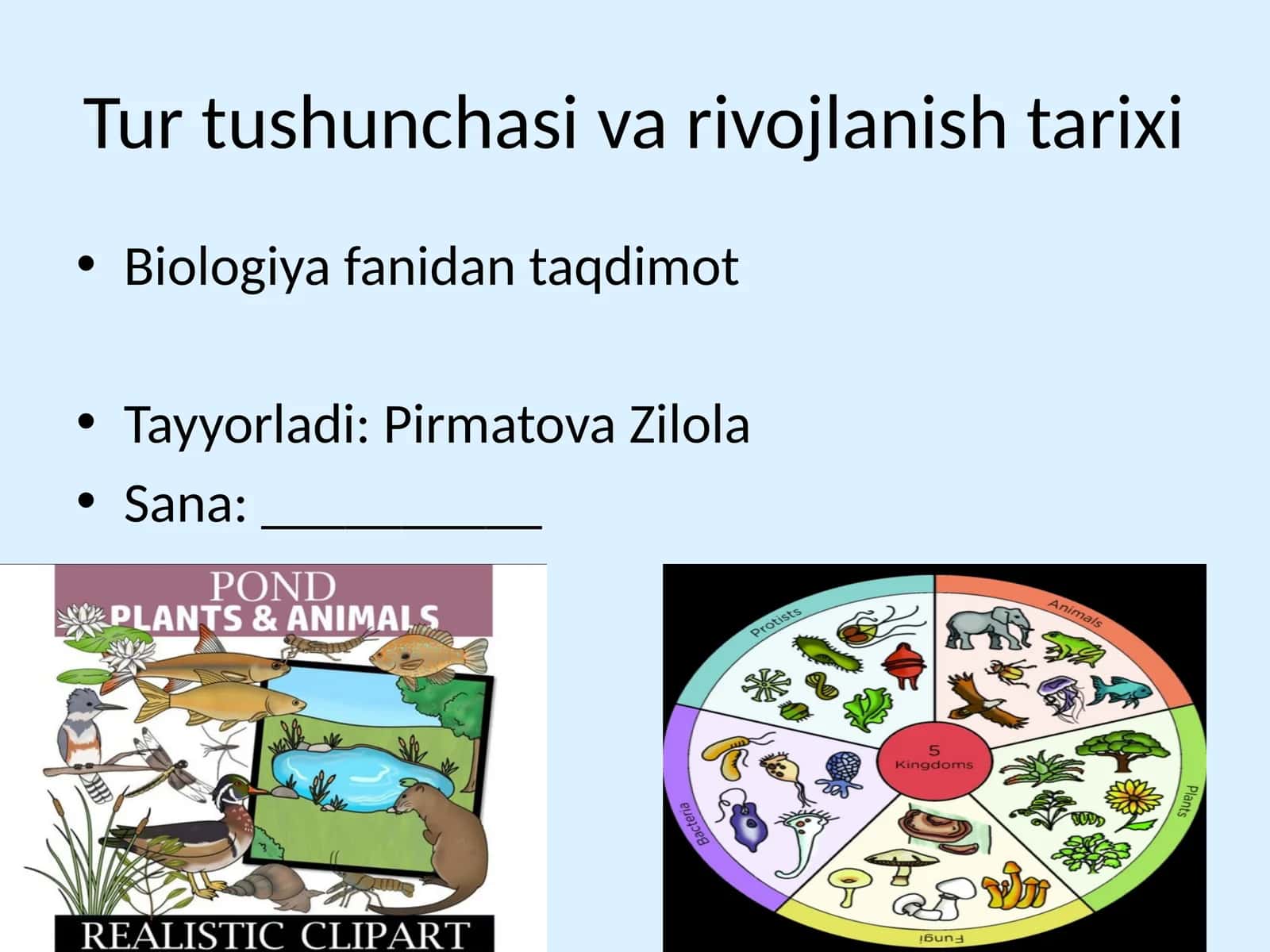 Tur tushunchasi va rivojlanish tarixi