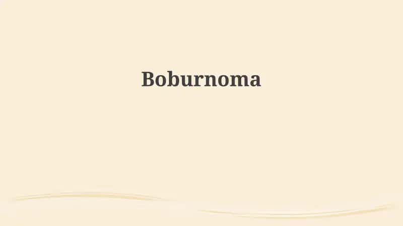 Boburnoma