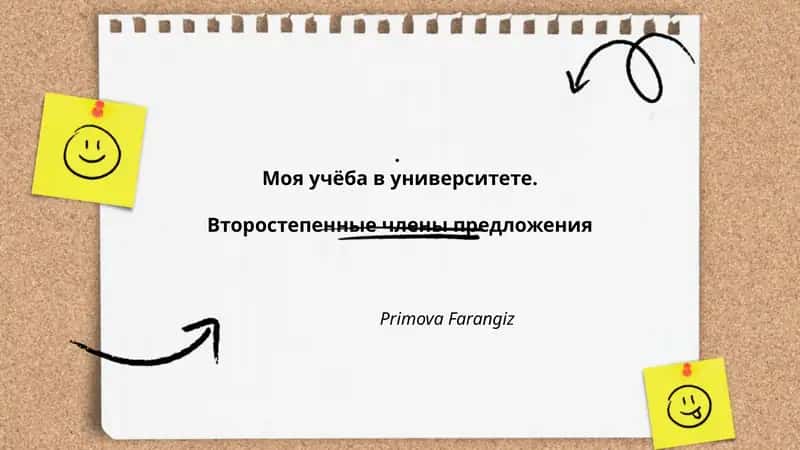 Моя учёба в университете