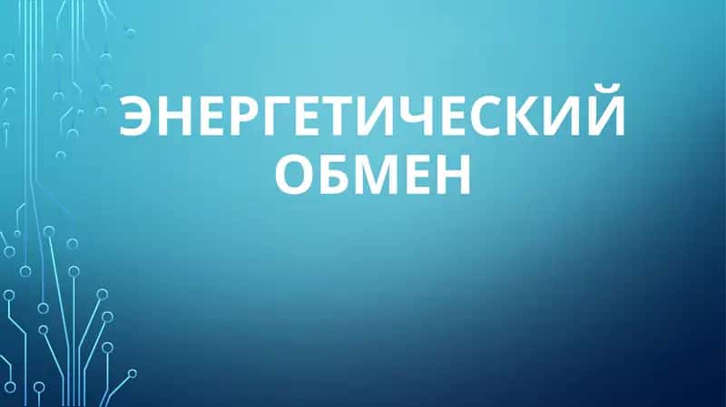 Энергетический обмен