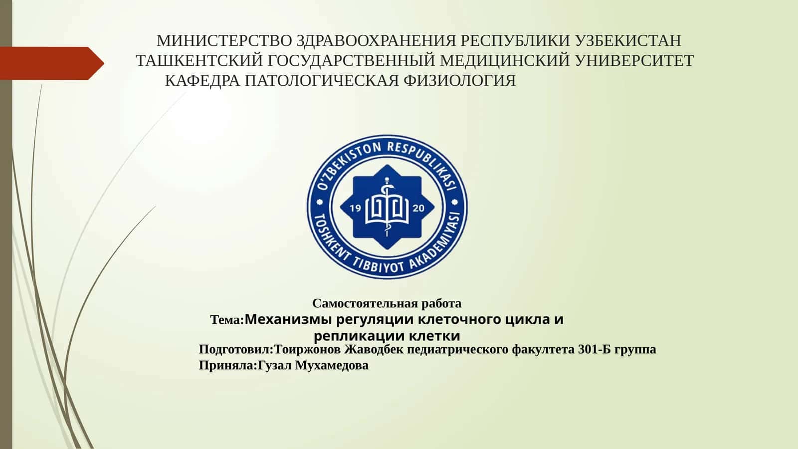 Механизмы регуляции клеточного цикла и репликации клетки