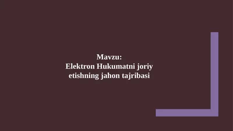 Elektron Hukumatni joriy etishning jahon tajribasi