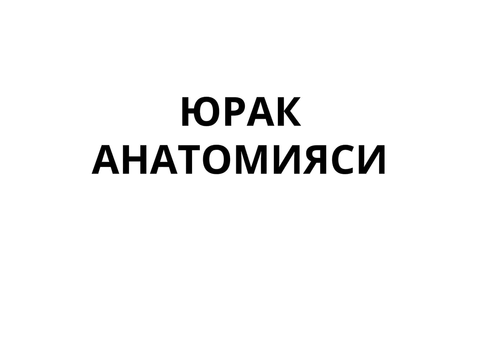 ЮРАК АНАТОМИЯСИ