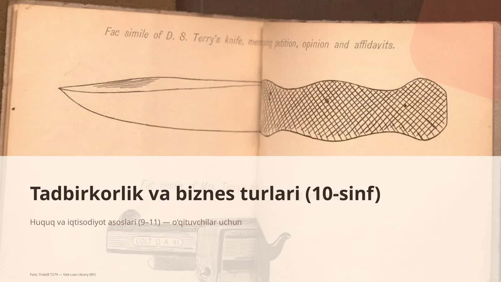Tadbirkorlik va biznes turlari (10-sinf)