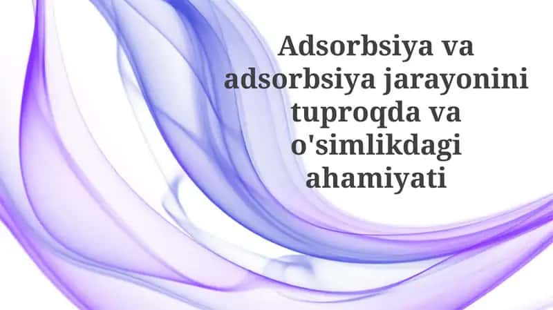 Adsorbsiya jarayoni: ta'rif va turlari