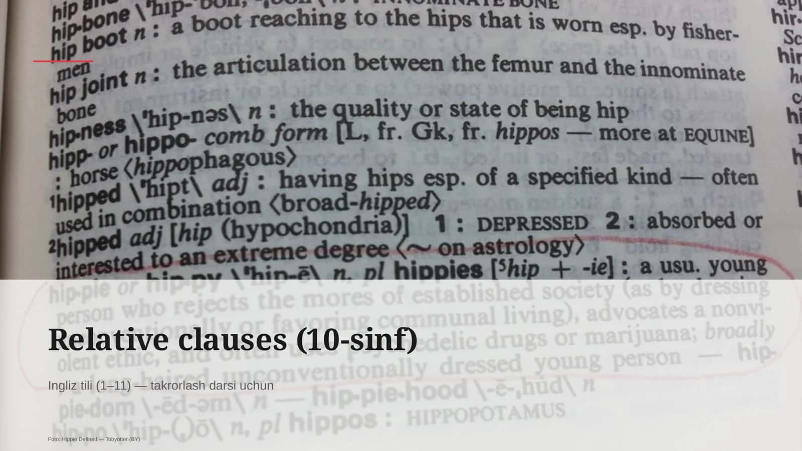 Relative clauses (10-sinf)