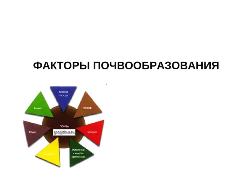 ФАКТОРЫ ПОЧВООБРАЗОВАНИЯ