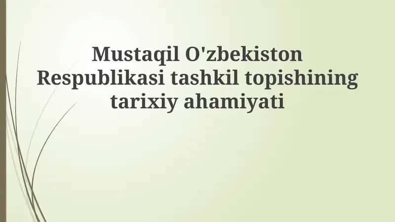 Mustaqil O'zbekiston Respublikasi tashkilotining tarixiy ahamiyati