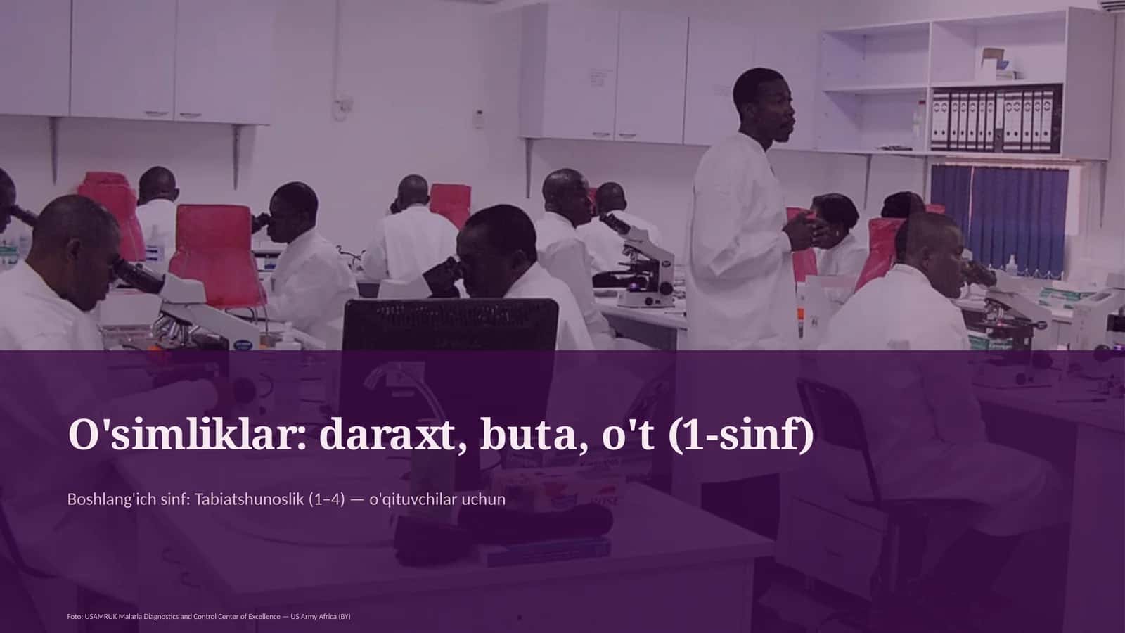 O'simliklar: daraxt, buta, o't (1-sinf)
