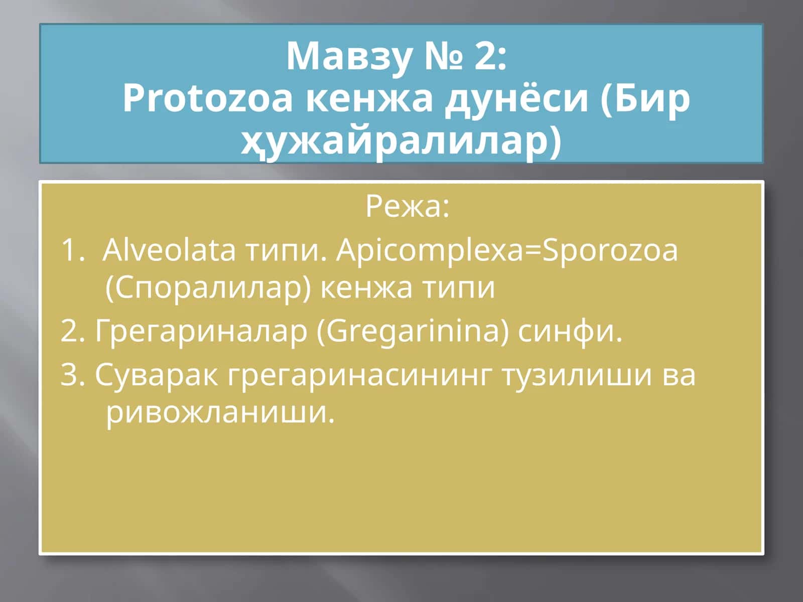 Protozoa кенжа дунёси (Бир ҳужайралилар)