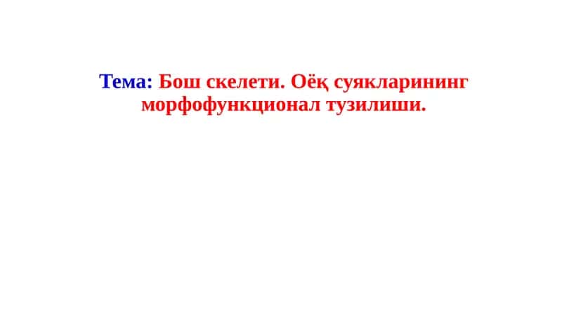 Бош скелети