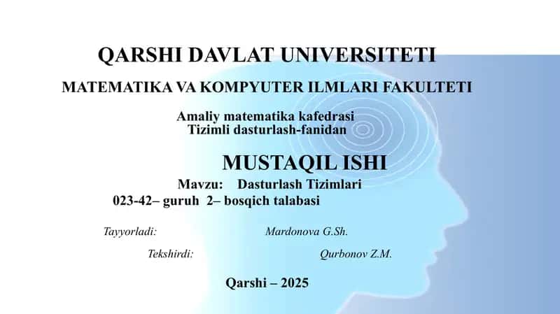 Dasturlash Tizimlari