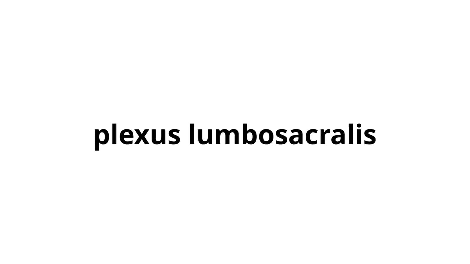 plexus lumbosacralis