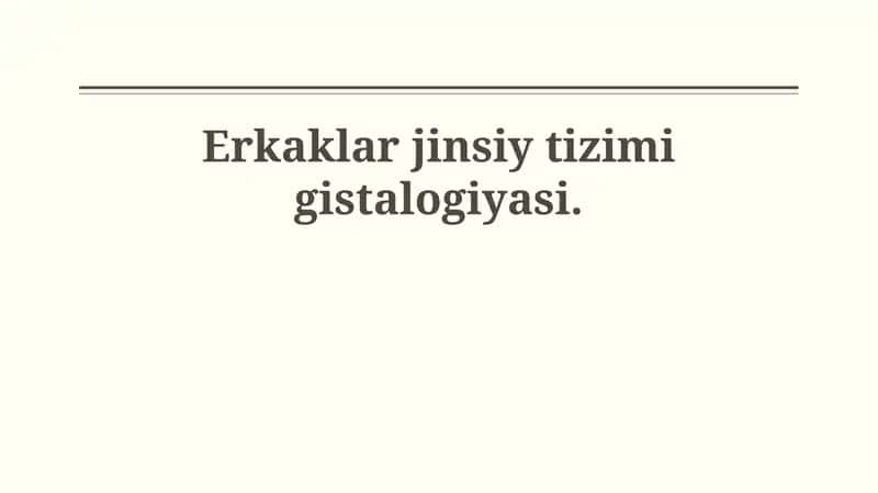 Erkaklar jinsiy tizimi gistalogiyasi