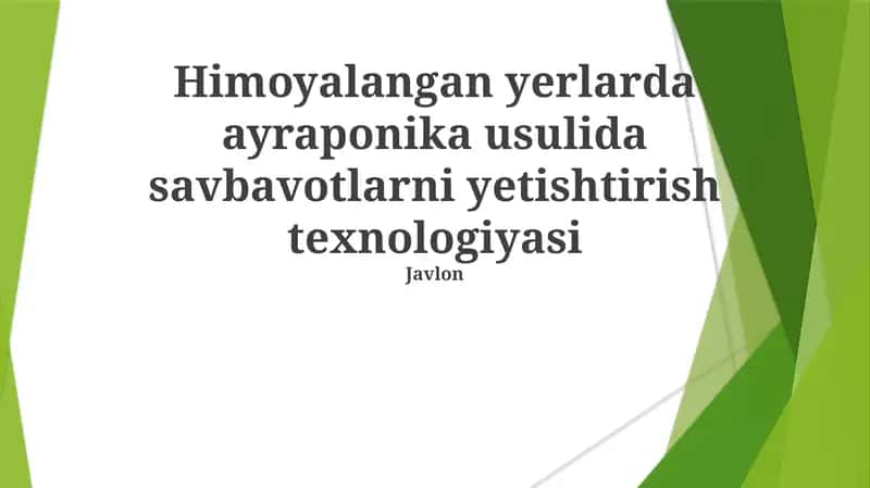 Aeroponika usulida savbavotlarni yetishtirish texnologiyasi