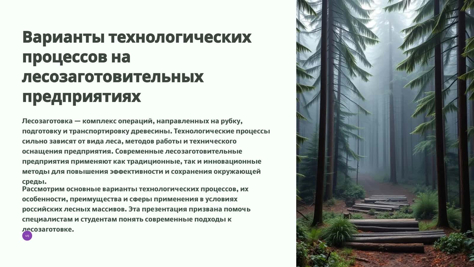 Технологические процессы на лесозаготовительных предприятиях