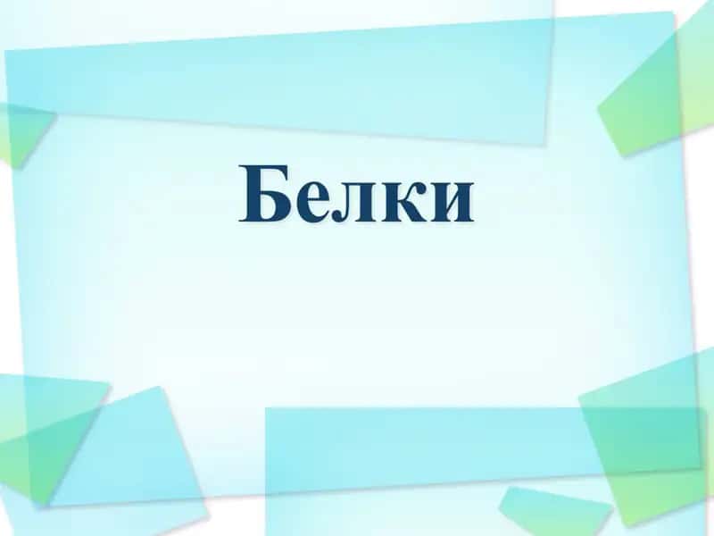 Белки