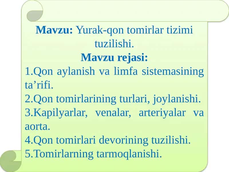 Yurak-qontomirlar tuzilishi