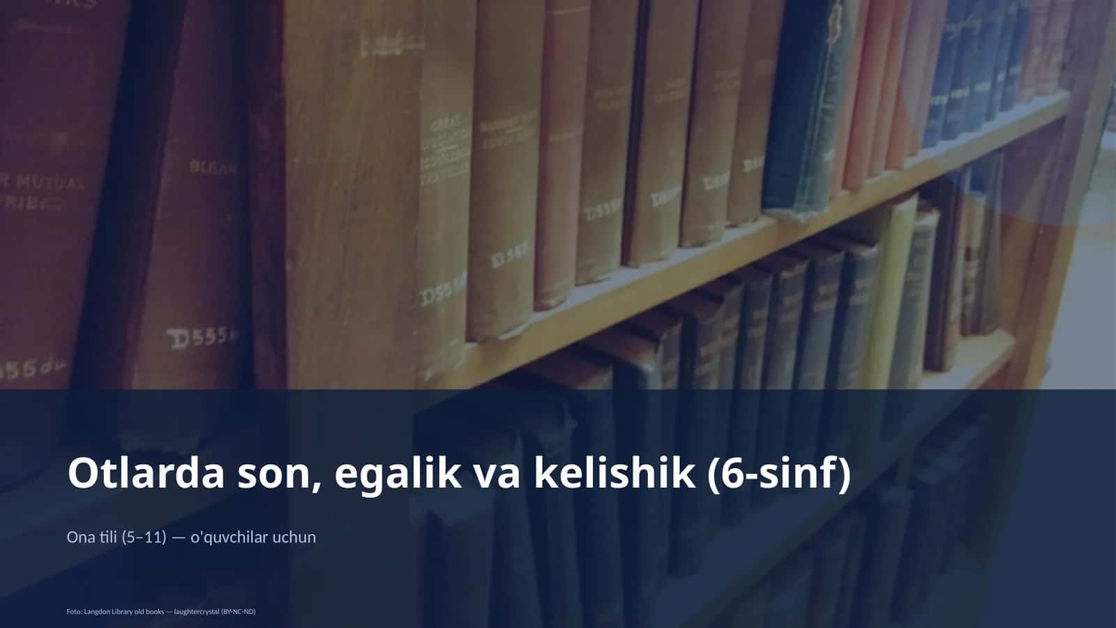 Otlarda son, egalik va kelishik (6-sinf)
