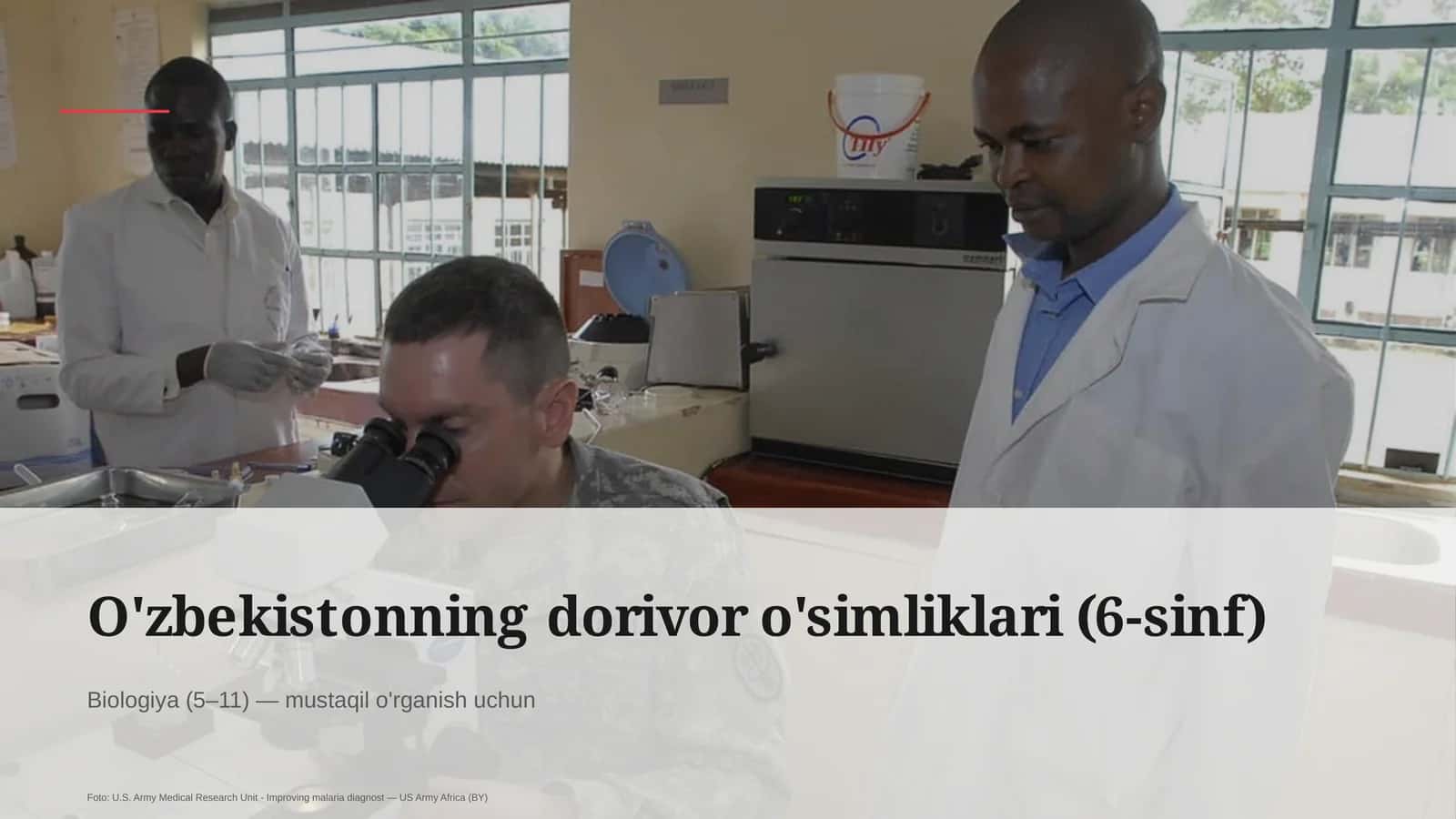 O'zbekistonning dorivor o'simliklari (6-sinf)