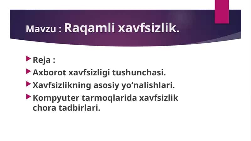 Raqamli xavfsizlik.