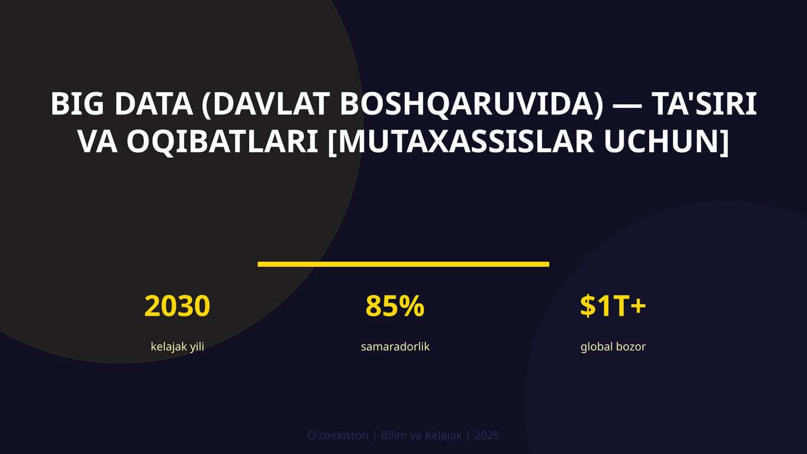 Big Data (davlat boshqaruvida) — ta'siri va oqibatlari [mutaxassislar uchun]