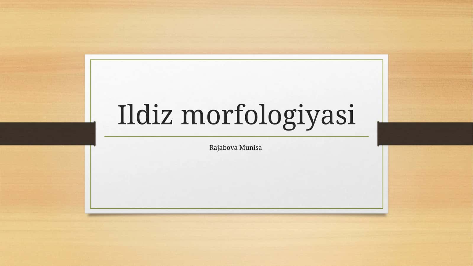 Ildiz morfologiyasi