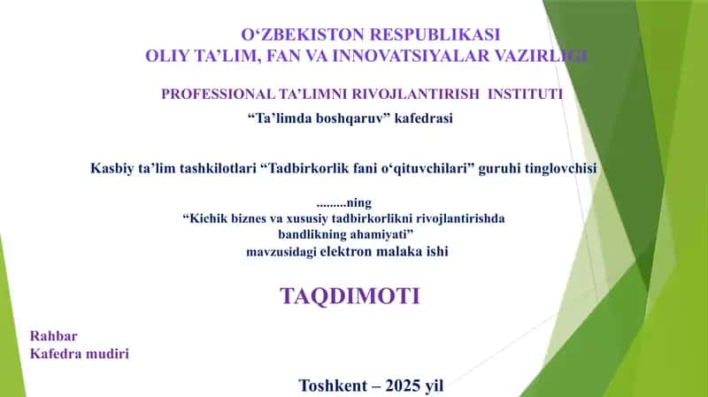 Elektron Malaka Ishi, Kichik biznes va xususiy tadbirkorlikni rivojlantirishda  bandlikning ahamiyati