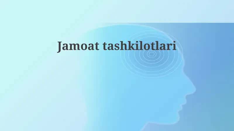 Davlat tashkilotlari