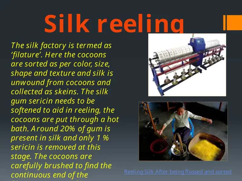 Silk reeling