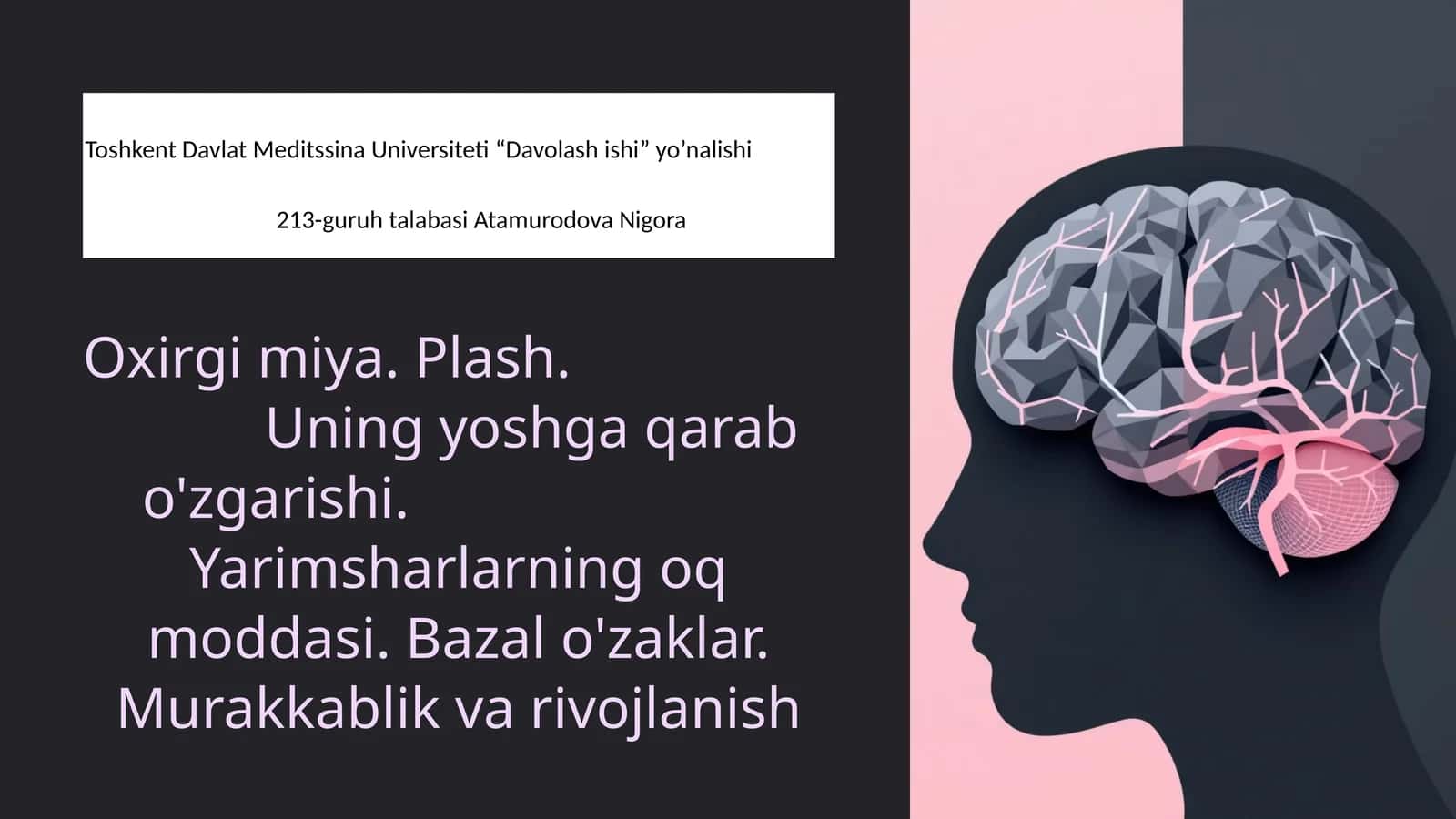 Oxirgi Miya (Telencephalon): Murakkablik va Rivojlanish