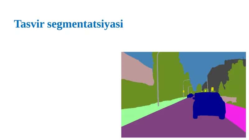 Tasvir segmentatsiyasi 1