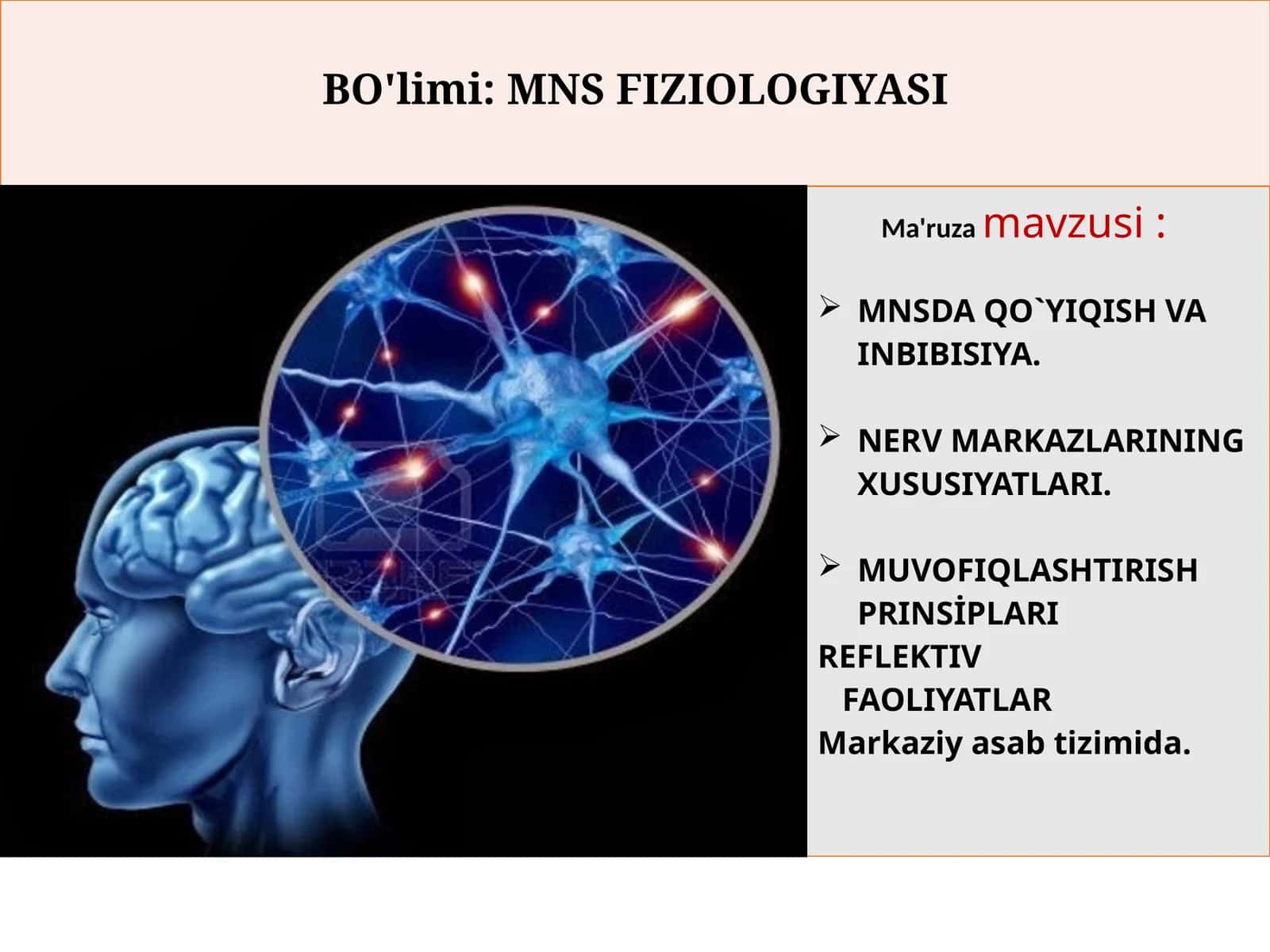 MNSDA QO`YIQISH VA INBIBISIYA. NERV MARKAZLARINING XUSUSIYATLARI. MUVOFIQLASHTIRISH PRINSİPLARI REFLEKTIV FAOLIYATLAR