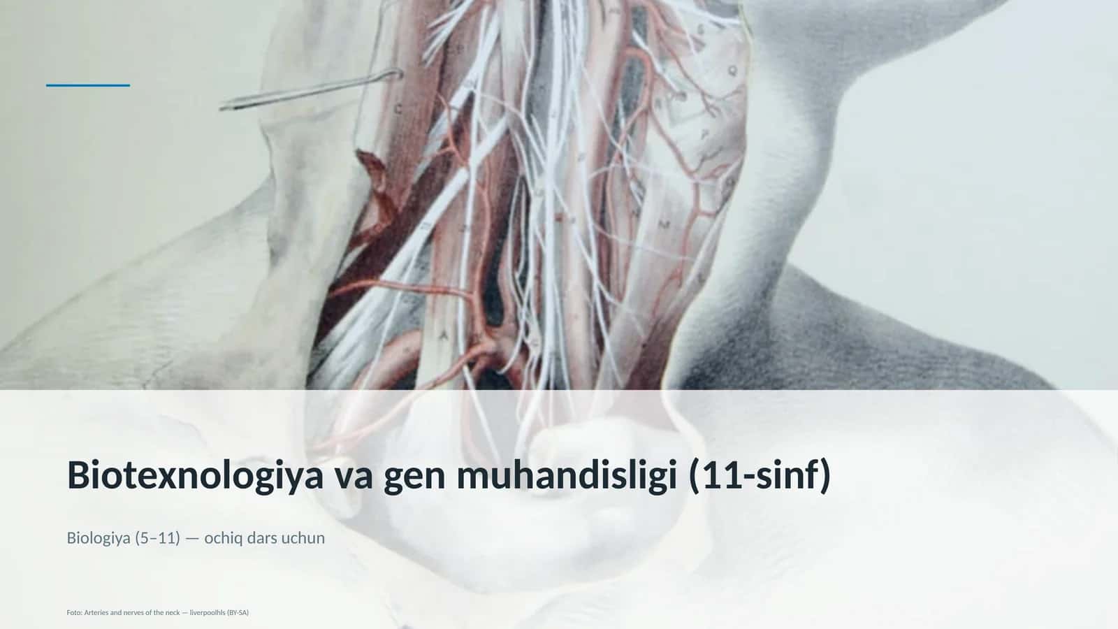 Biotexnologiya va gen muhandisligi (11-sinf)