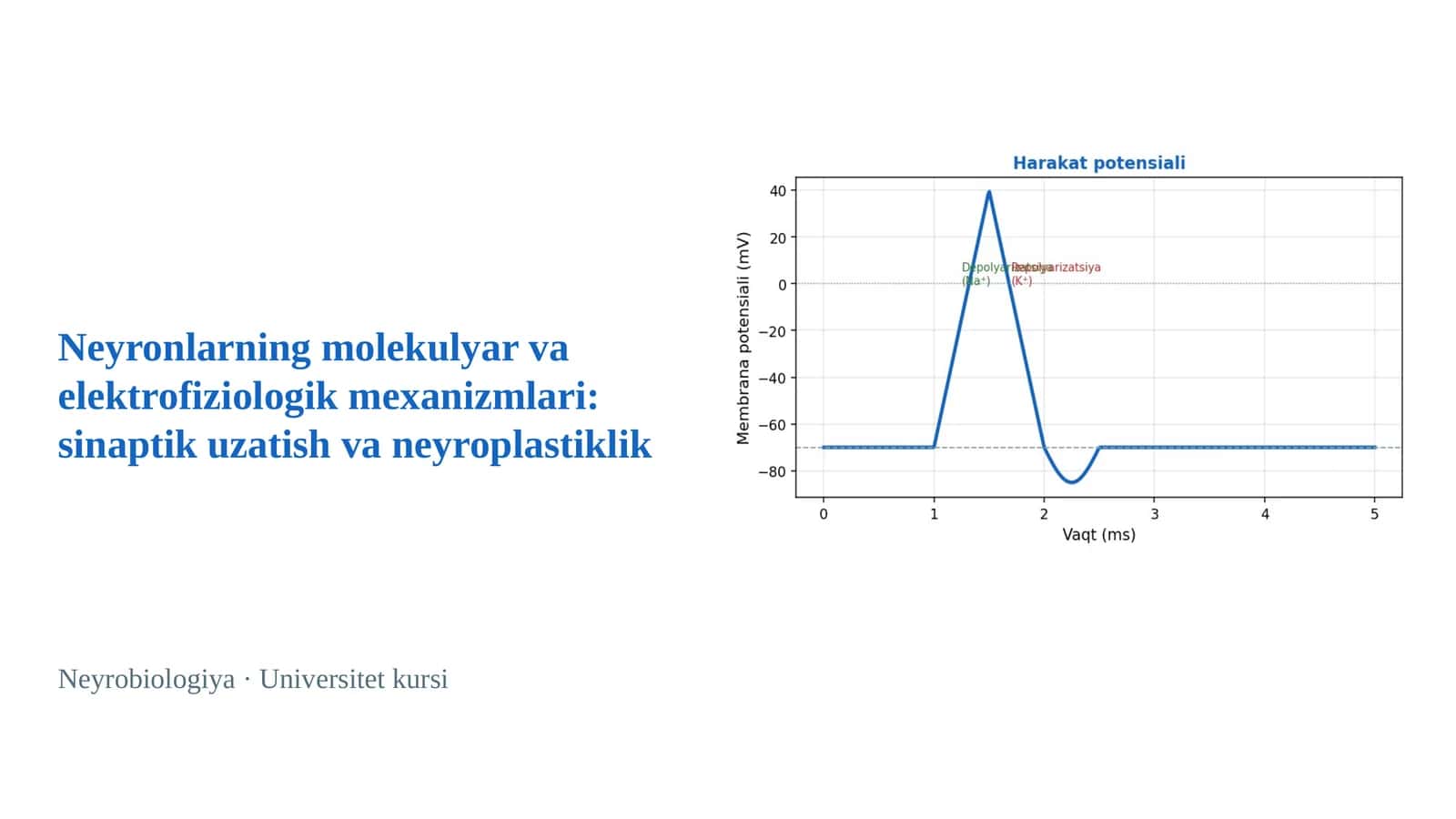 Neyronlarning molekulyar va elektrofiziologik mexanizmlari: sinaptik uzatish va neyroplastiklik