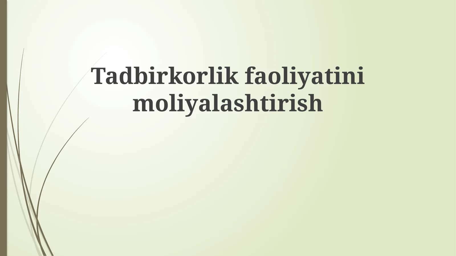 Tadbirkorlikfaoliyatinimoliyalashtirish
