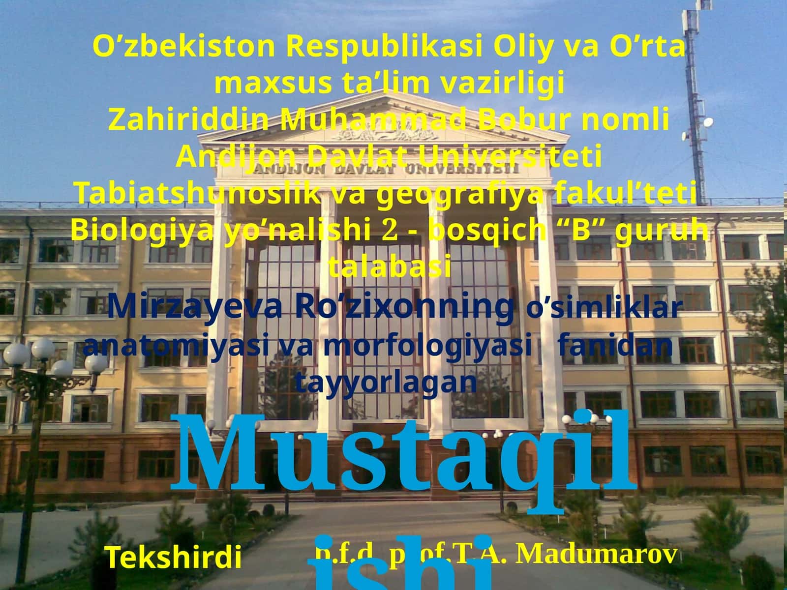 Sistemasning hoşil bo'lishi