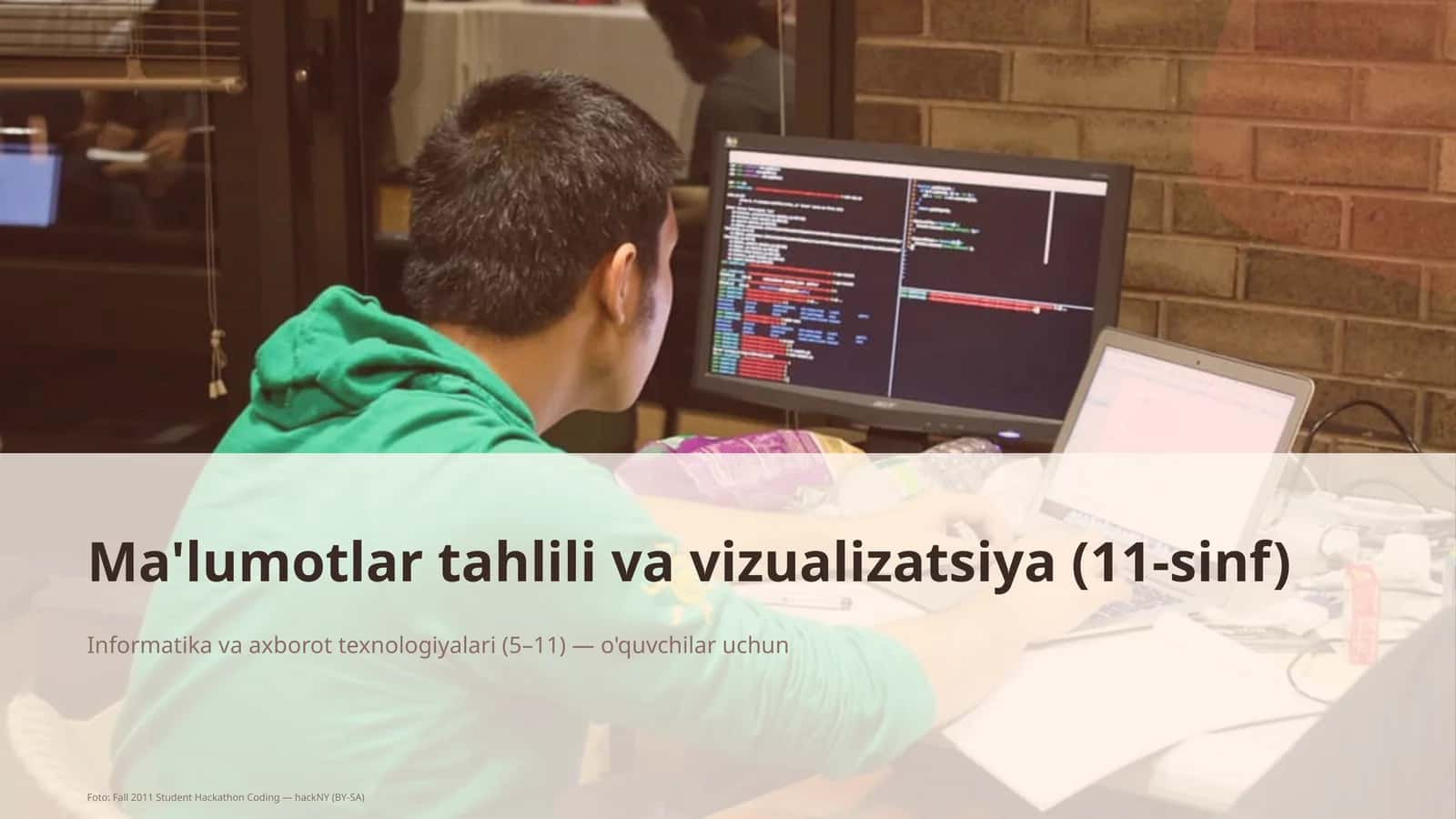Ma'lumotlar tahlili va vizualizatsiya (11-sinf)