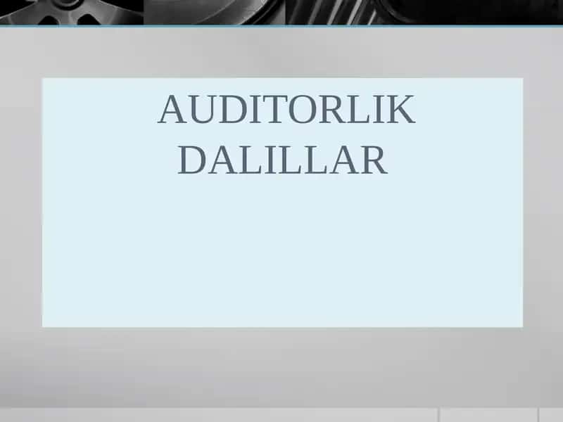 Auditorlik Dalillar