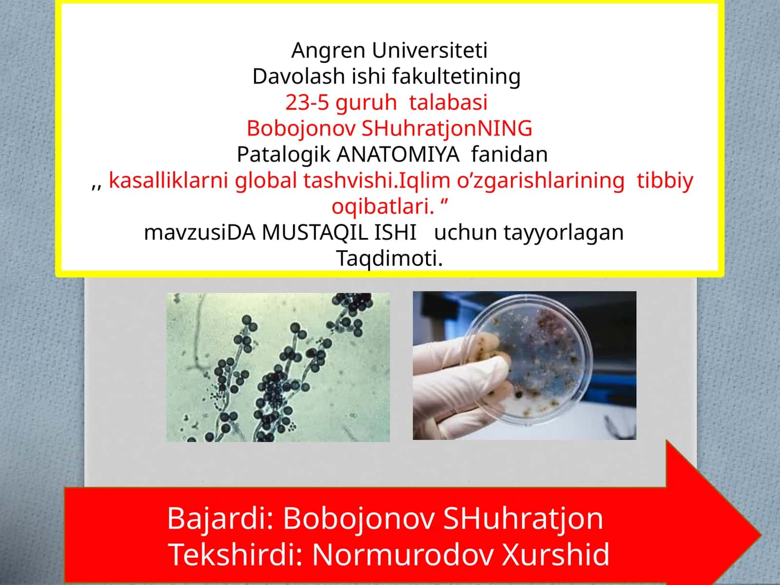 Patalogik ANATOMIYA fanidan kasalliklar