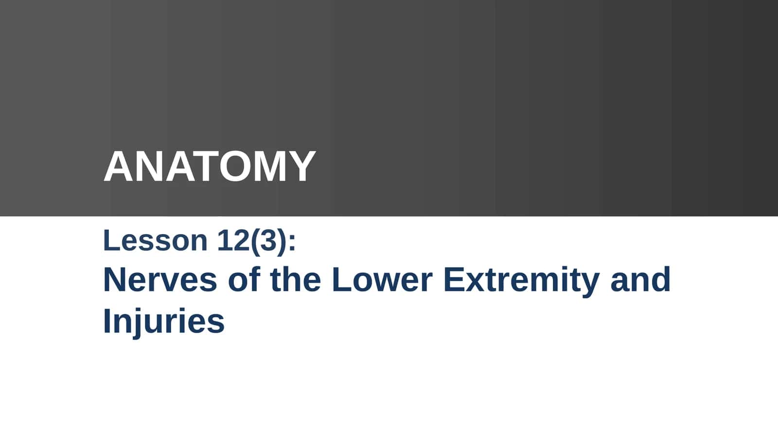 Lesson 12: Nerves of the Lower Extremity and Injuries