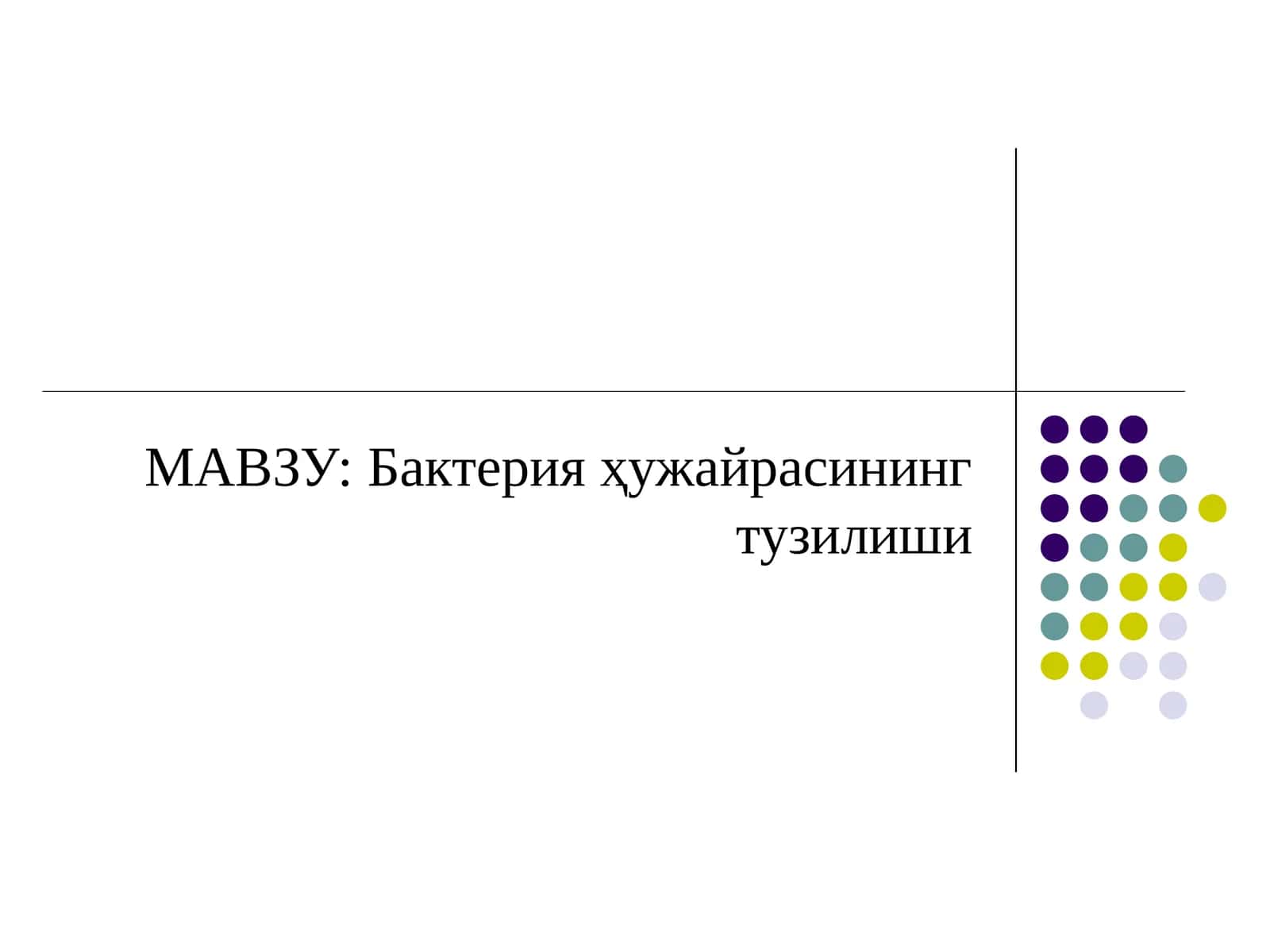 Бактерия ҳужайрасининг тузилиши