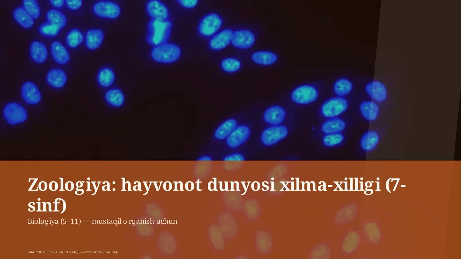 Zoologiya: hayvonot dunyosi xilma-xilligi (7-sinf)