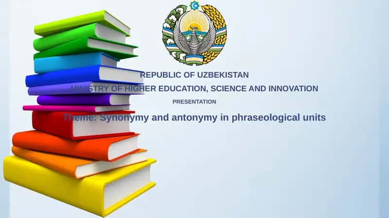 Understanding Phraseological Units