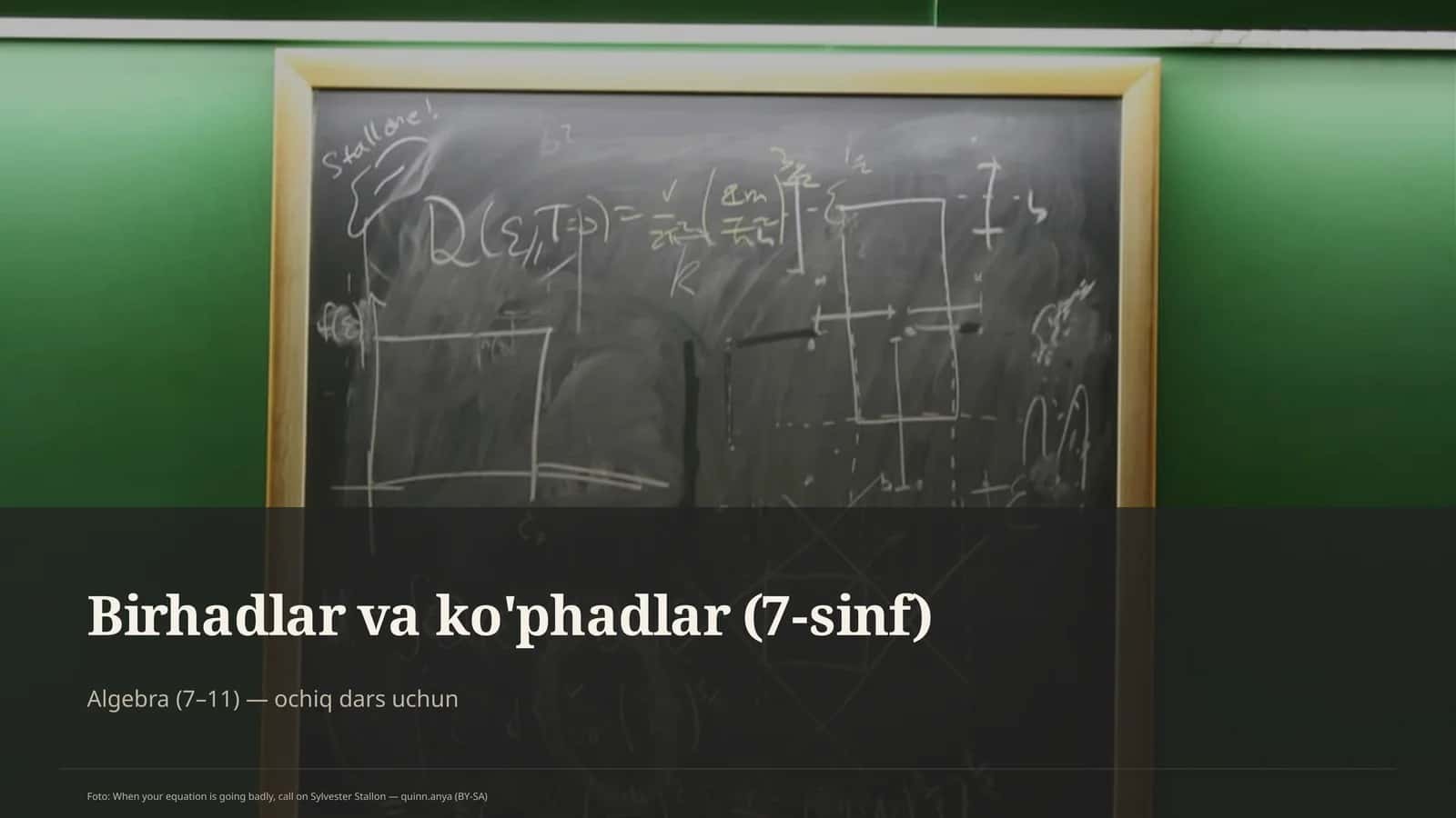 Birhadlar va ko'phadlar (7-sinf)
