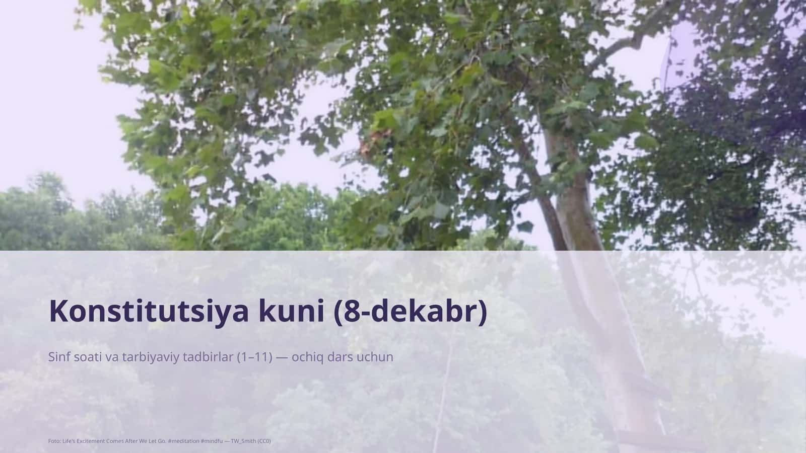 Konstitutsiya kuni (8-dekabr)