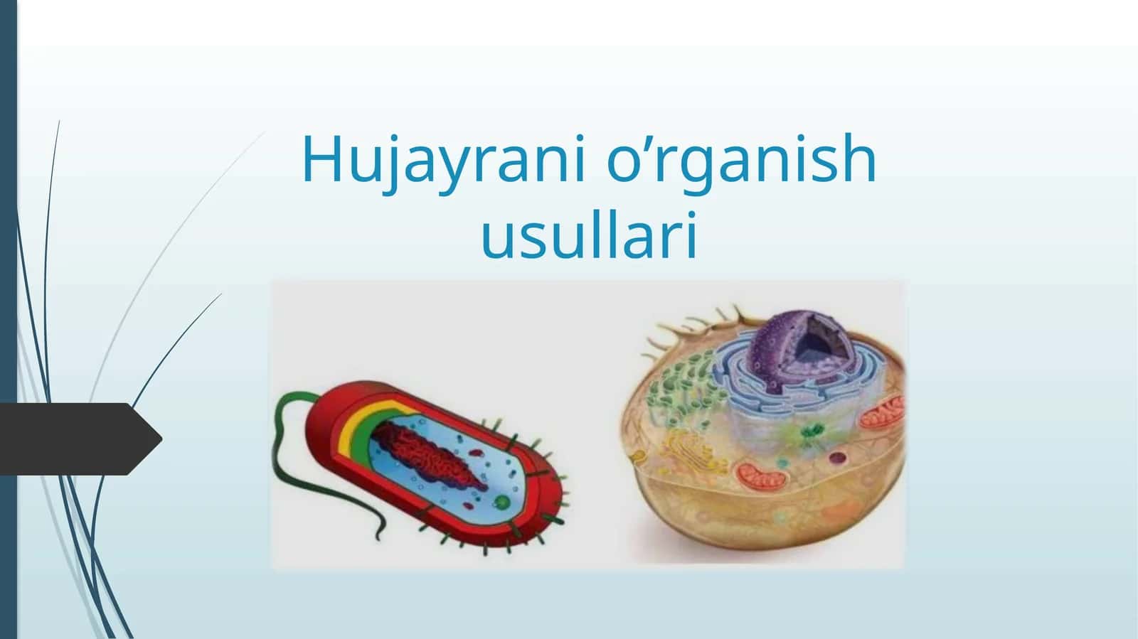 Hujayrani o’rganish usullari