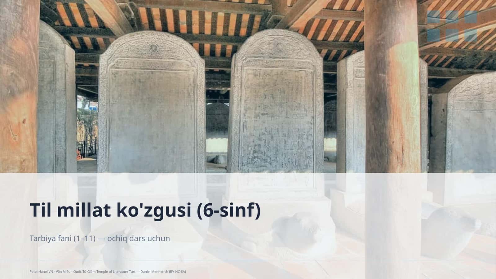 Til millat ko'zgusi (6-sinf)